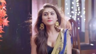 Circle Gol Hai (2020) XXX Indian web series
