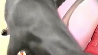 Housewife fucking a sexy creature in HQ
