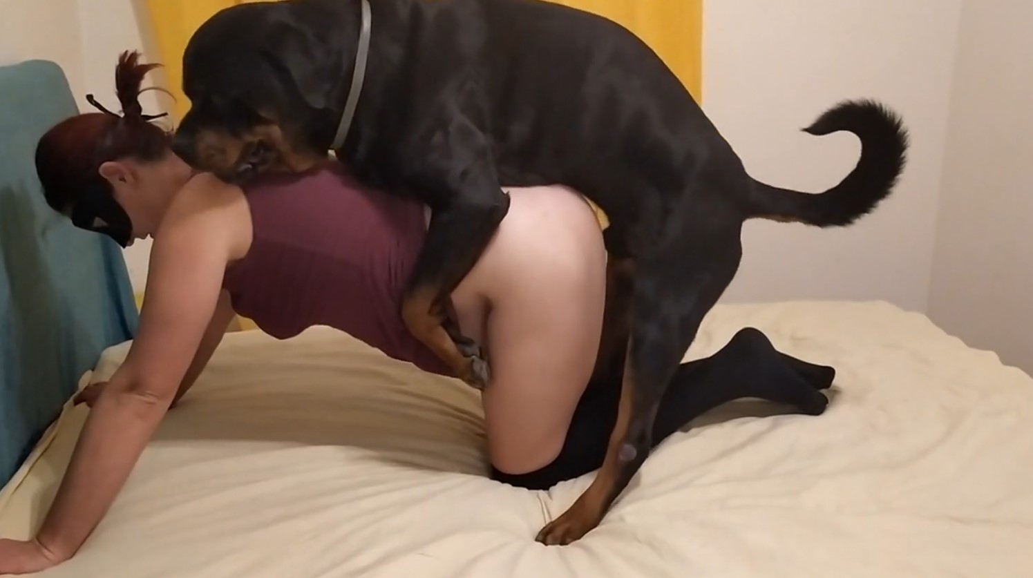 Passionate animals porn with hot fucking