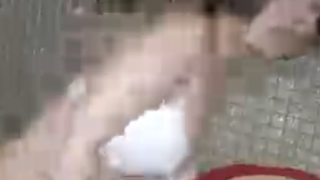 Passionate girl blowjob clip