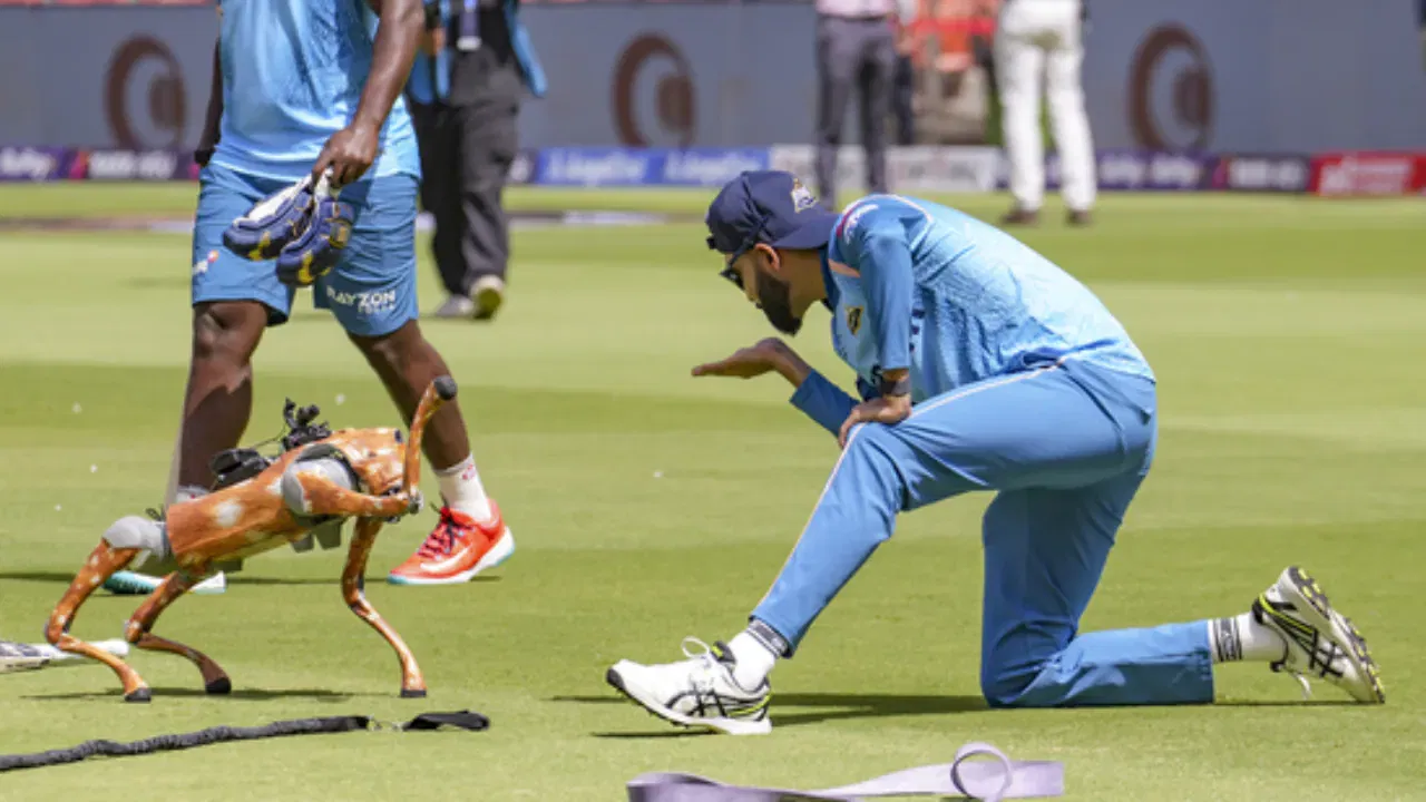 BCCI lands in legal trouble for naming IPL robot dog ‘Champak’