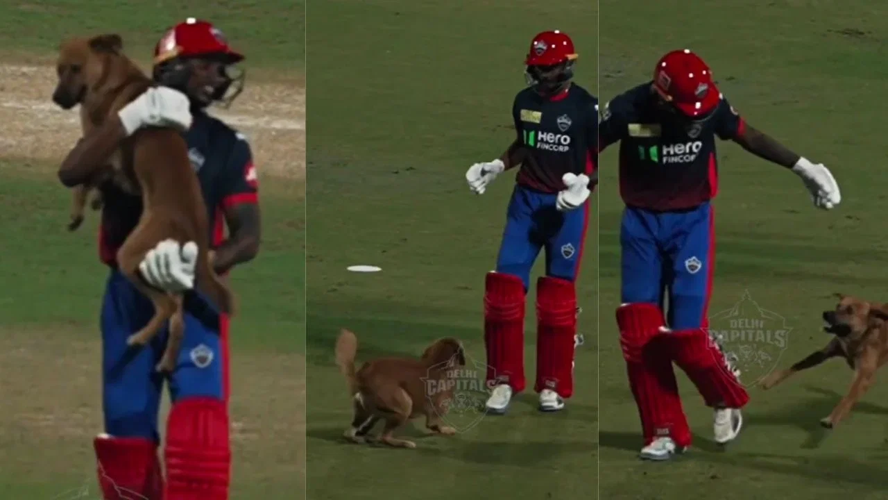 Unreal scenes! Abishek Porel lifts dog after pitch invasion during Delhi Capitals’ practice and does this