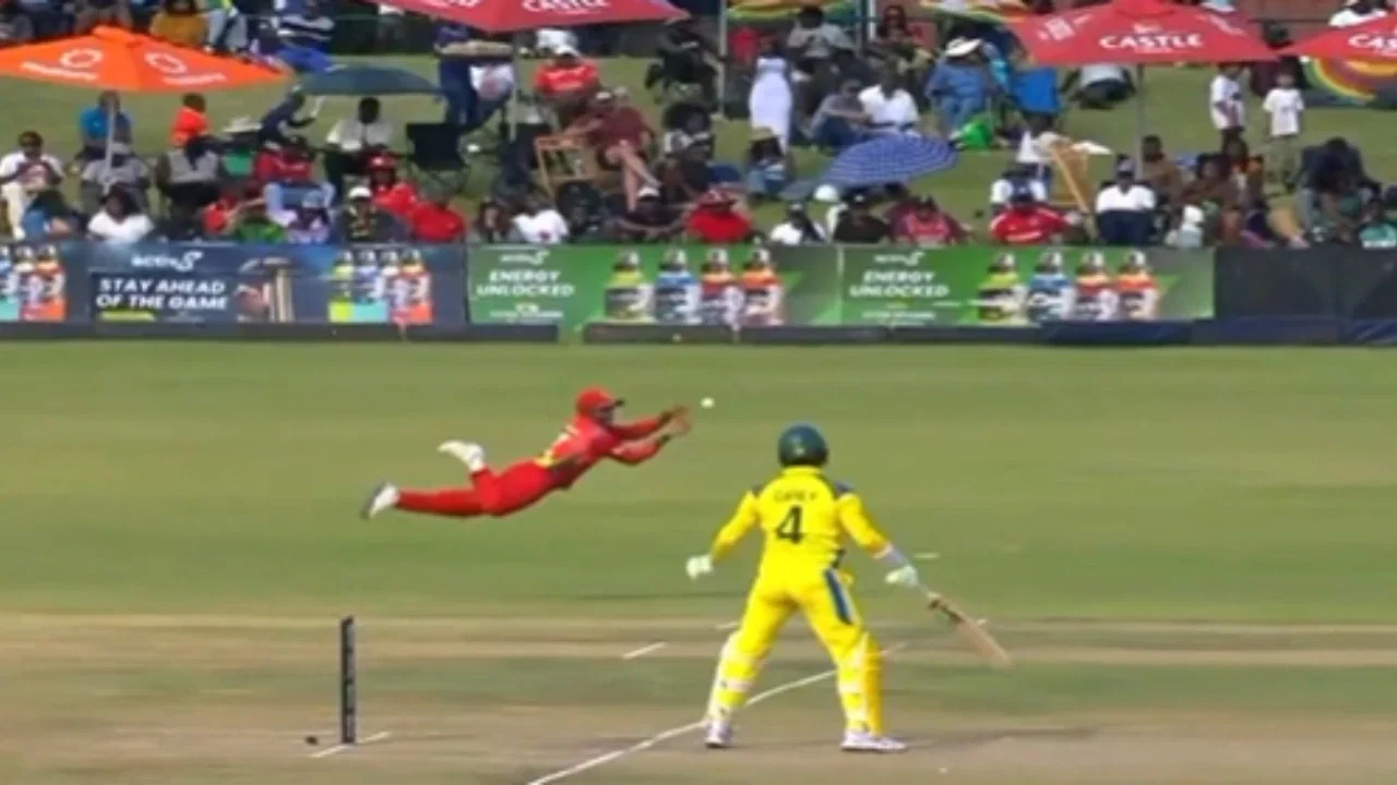 Wesley Madhevere turns goalkeeper, pulls off brilliant catch to dismiss Alex Carey in 3rd ODI